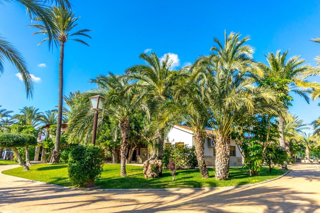 Santa Barbara Elche